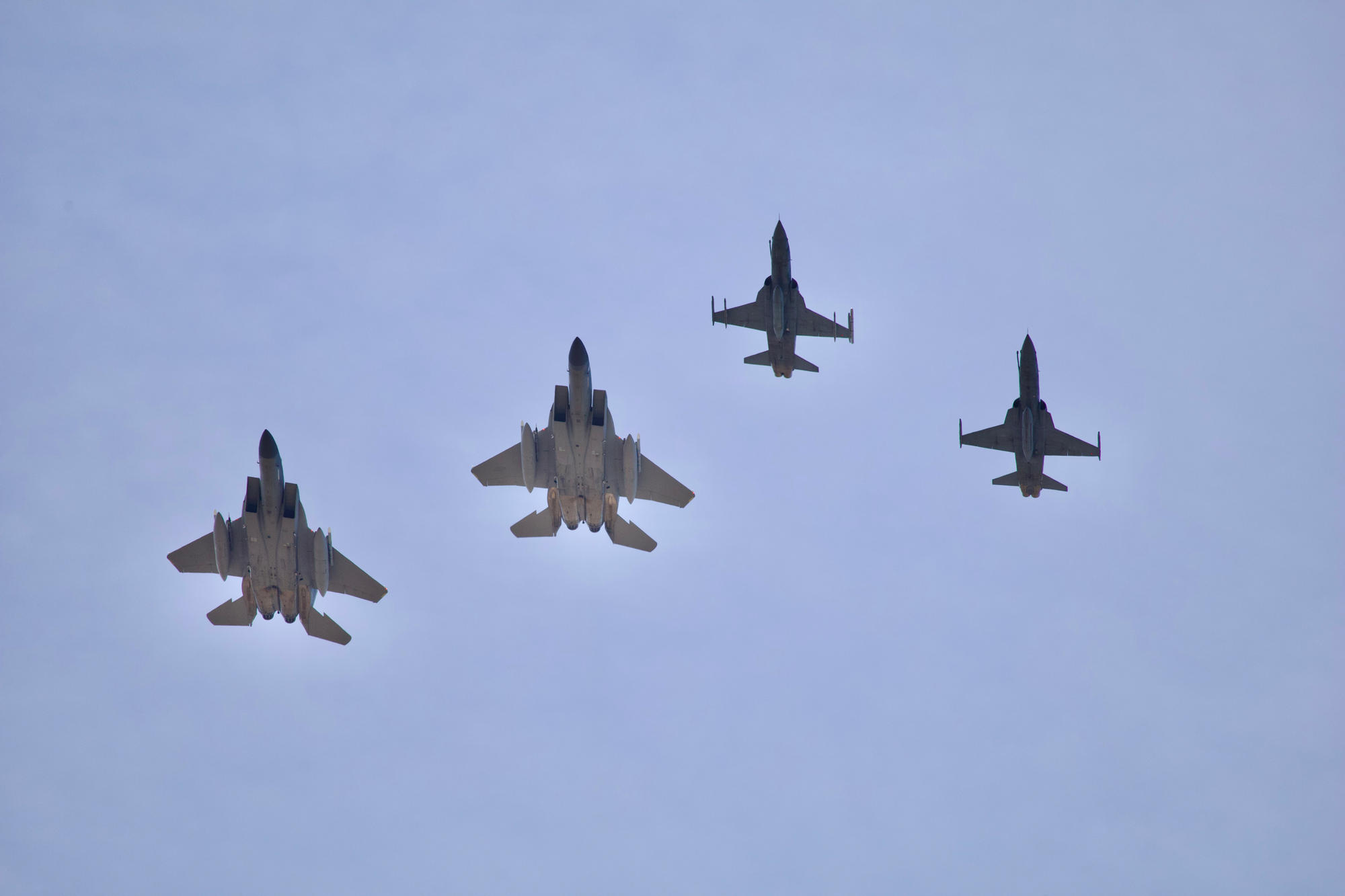 Two FAB F-5EMs escorting two US Air National Guard F-15Cs. (Ernesto Blanco Calcagno/www.airpressman.com)